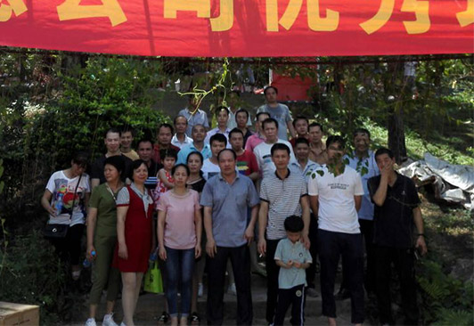 公司活动3